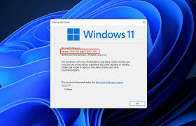Cumulative Update for Windows 11 