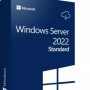 Windows Server 2019 Standard MAY 2022 Free Download_Softted.com_