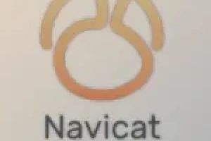 Navicat for MariaDB 16 Free Download_Softted.com_
