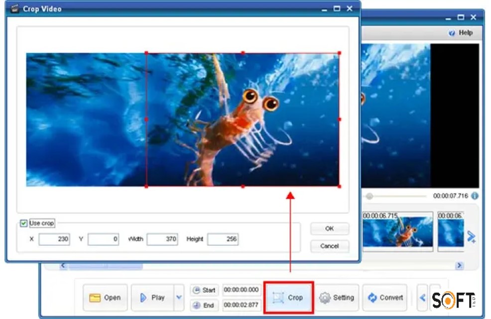 ThunderSoft GIF to Video Converter 2022 Free Download_Softted.com_