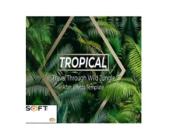 VideoHive-Jungle-Tropical-Slideshow-AEP-Free-Download-Softted.com_